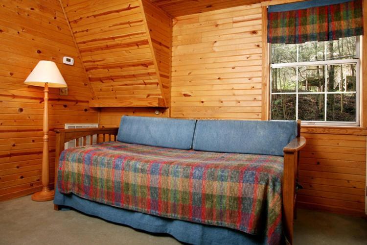 Brook Trout Chalet, 2 Bedrooms, Sleeps 9, On The Water Севьервилл Экстерьер фото